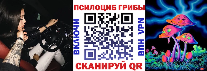 Галлюциногенные грибы Cubensis Купить где Богородицк